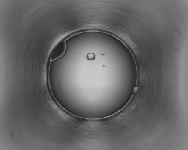 X0000112500888200908171307