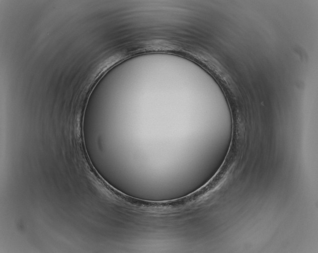 X0000112500889200908171307