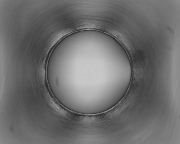 X0000112500890200908171307