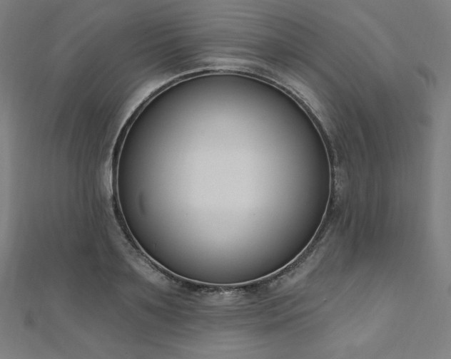 X0000112500891200908171307