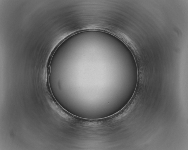 X0000112500892200908171306