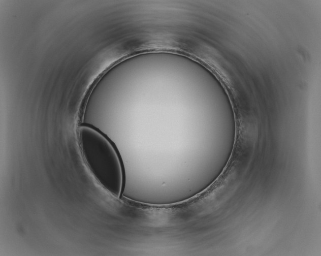 X0000112500893200908171306