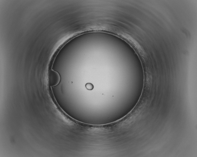 X0000112500894200908171306