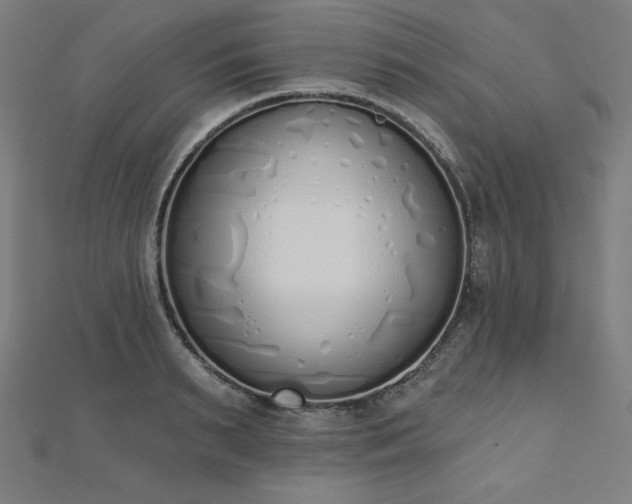 X0000112500895200908171306