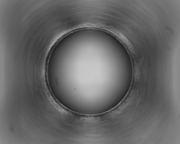 X0000112500896200908171306