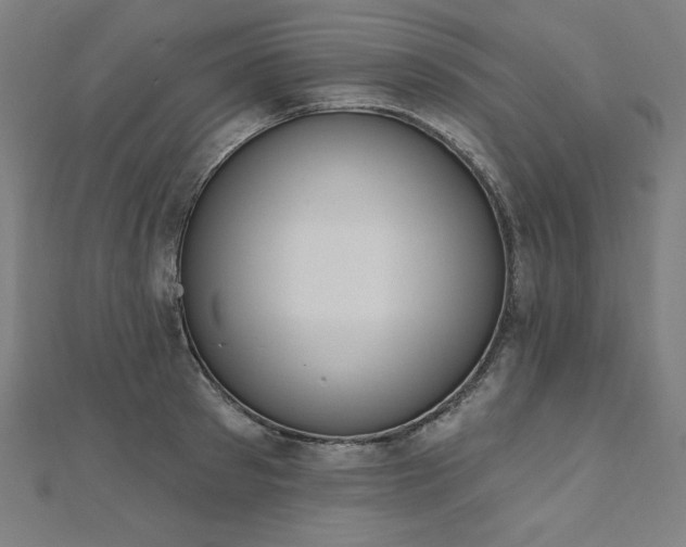 X0000112500897200908171306