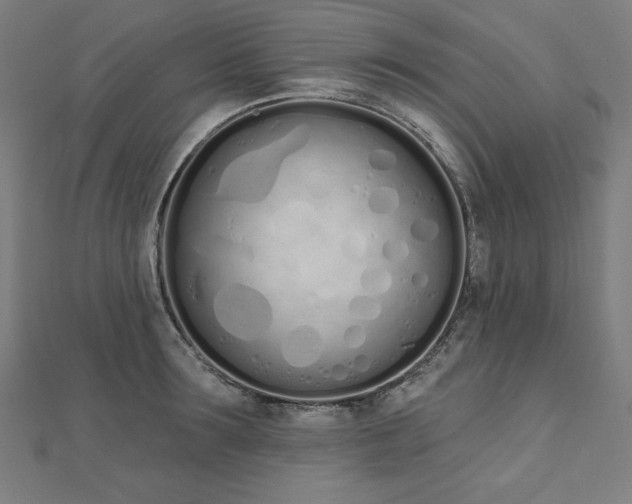 X0000112500899200908171306