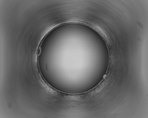 X0000112500900200908171306