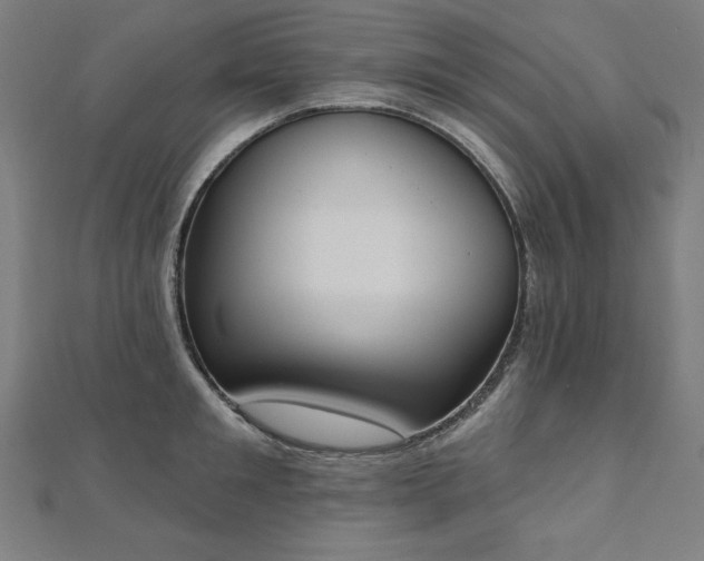 X0000112500901200908171306