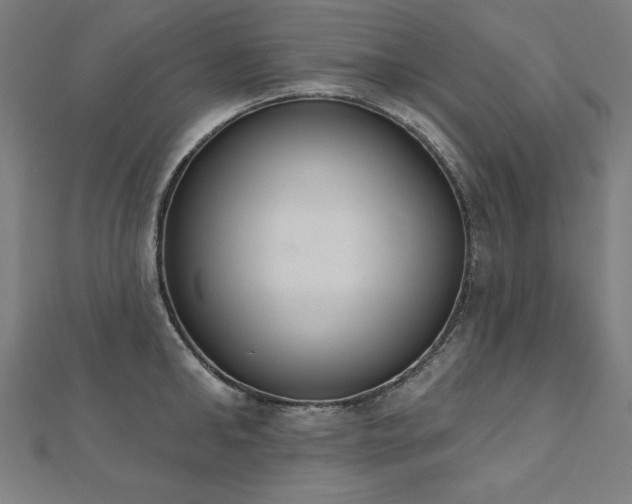 X0000112500902200908171306