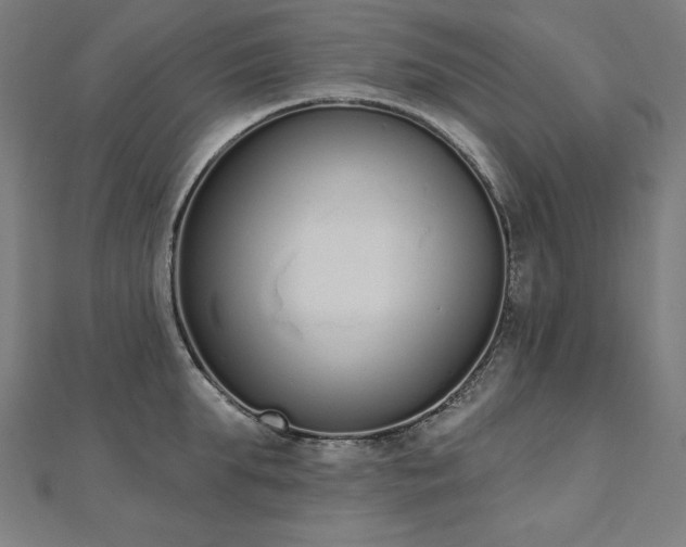 X0000112500903200908171306