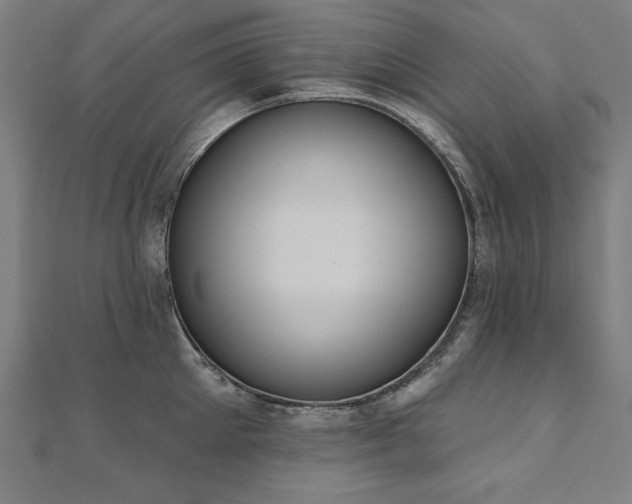 X0000112500905200908171306