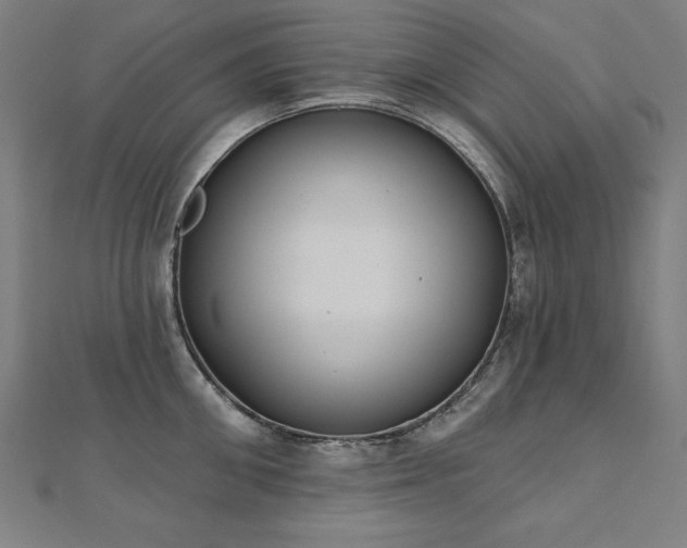 X0000112500906200908171306