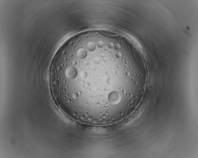 X0000112500907200908171306