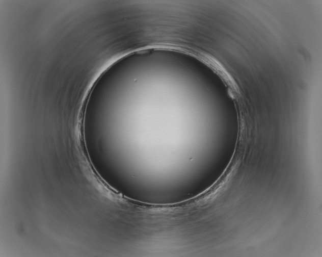 X0000112500908200908171306