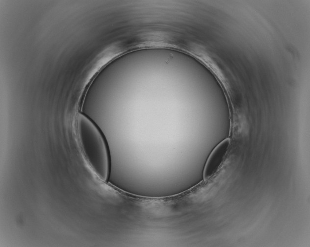 X0000112500909200908171306