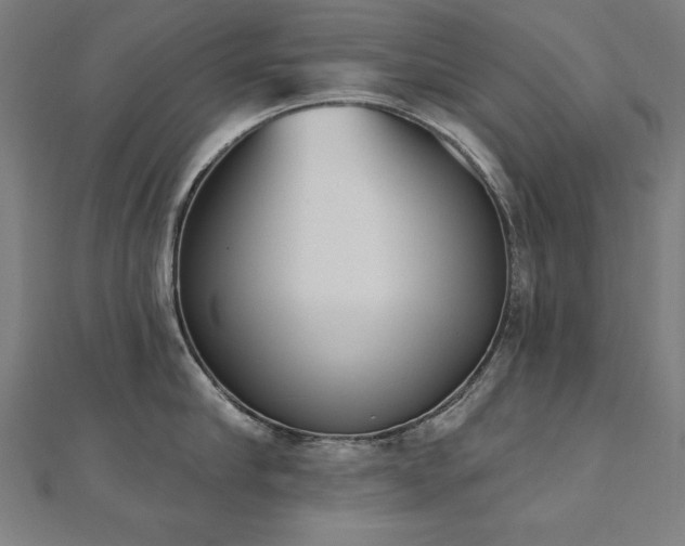 X0000112500910200908171306