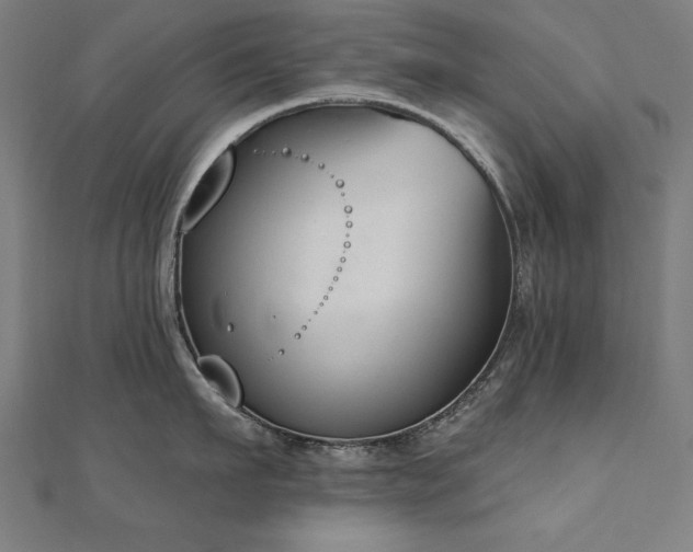 X0000112500911200908171306