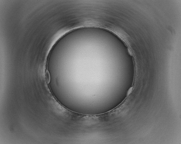 X0000112500912200908171306