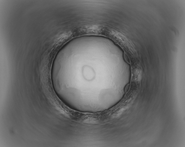 X0000112500913200908171305