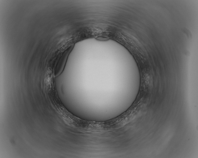 X0000112500914200908171305