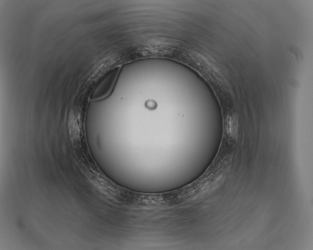 X0000112500915200908171305