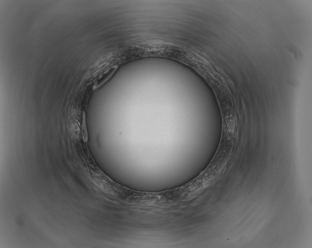 X0000112500916200908171305