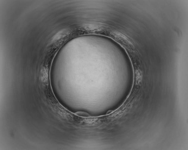 X0000112500917200908171305