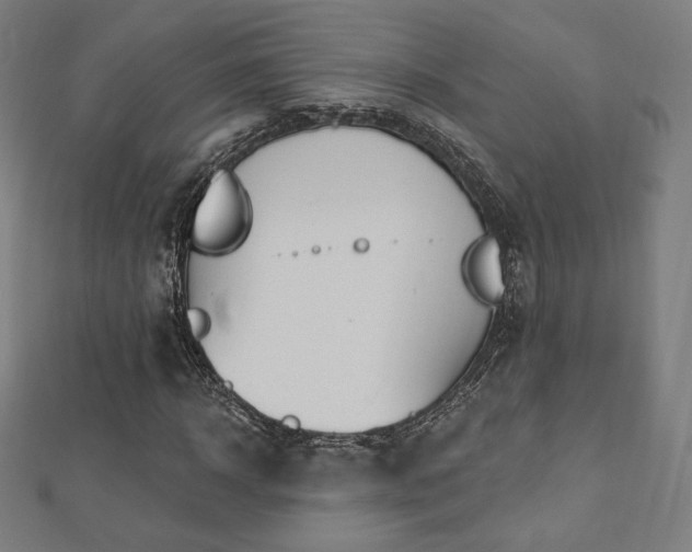 X0000112500918200908171306