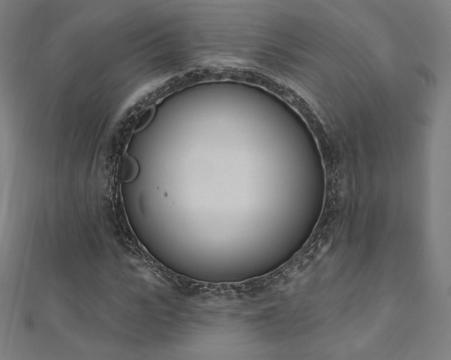 X0000112500919200908171306