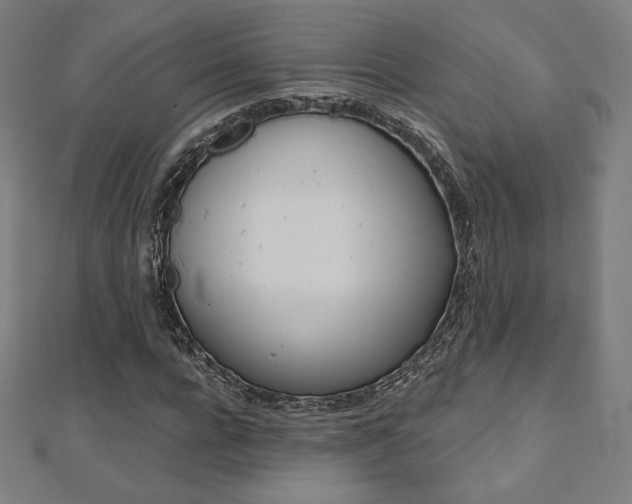 X0000112500920200908171306