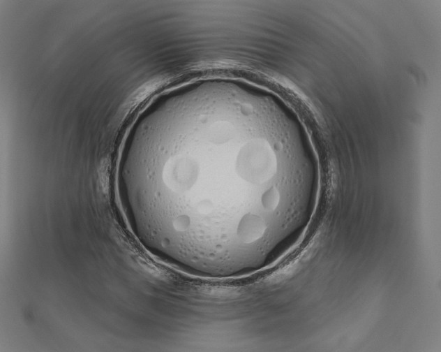 X0000112500921200908171306