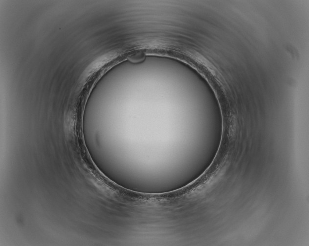 X0000112500922200908171306