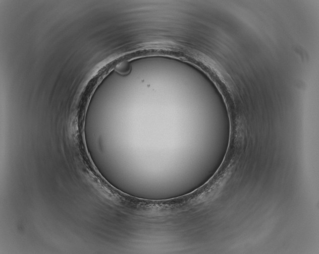 X0000112500923200908171306