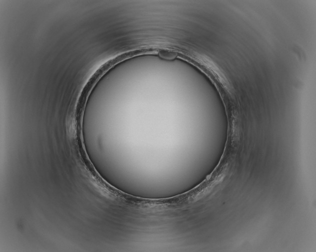 X0000112500924200908171306