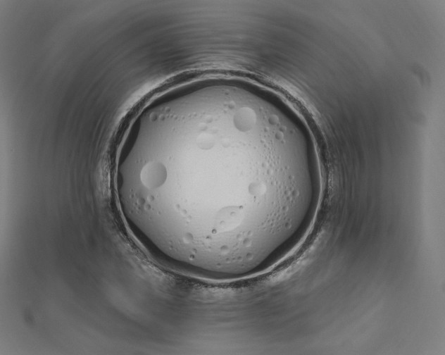 X0000112500925200908171306