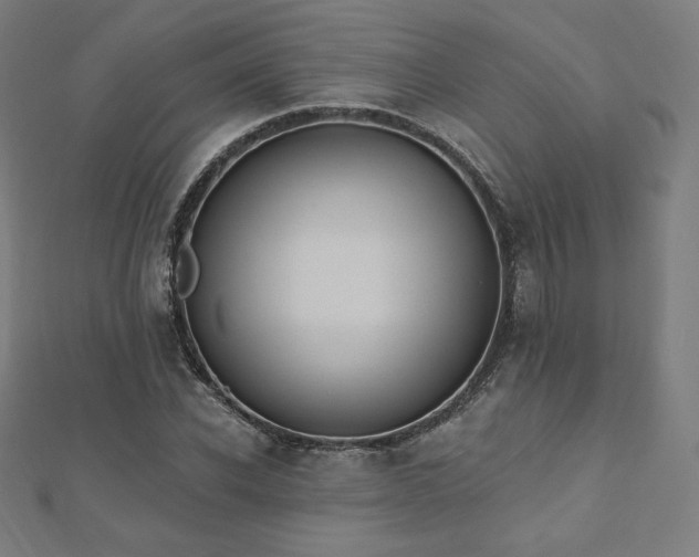 X0000112500926200908171306