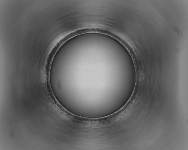 X0000112500927200908171306