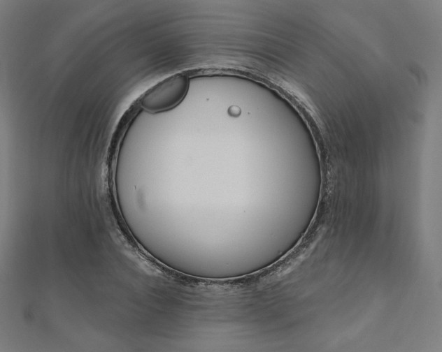 X0000112500928200908171306