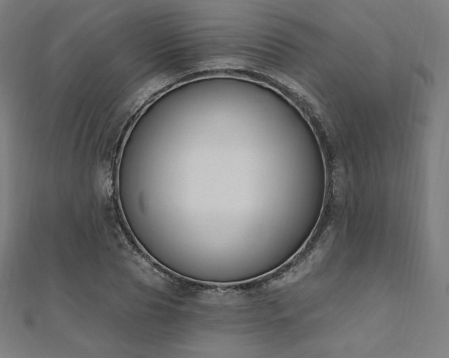 X0000112500929200908171306