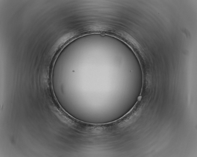 X0000112500930200908171306