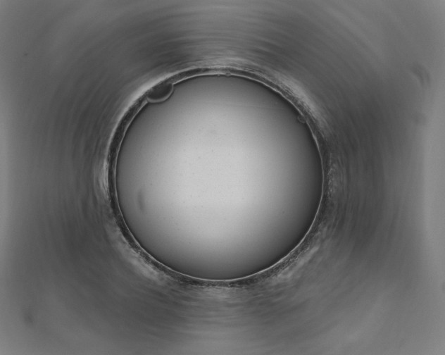 X0000112500932200908171306