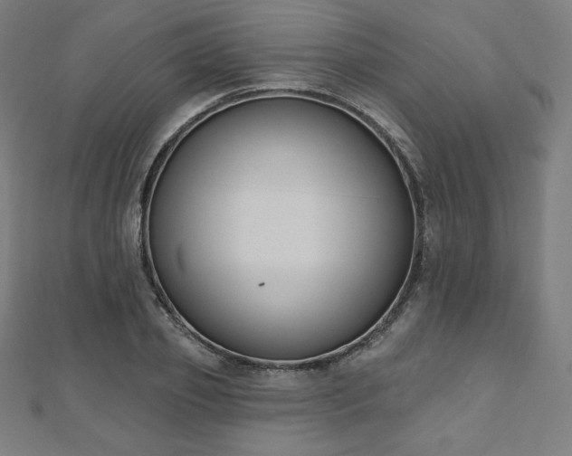 X0000112500933200908171306