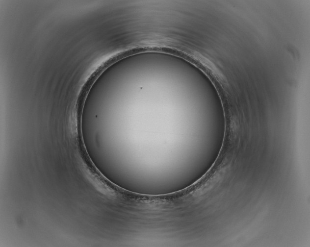 X0000112500934200908171306