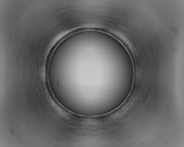 X0000112500935200908171306