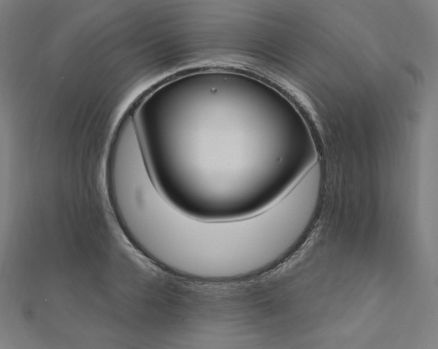 X0000112500936200908171306