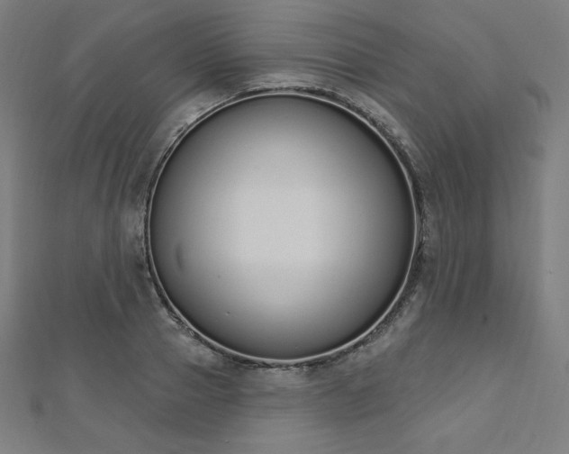 X0000112500937200908171306