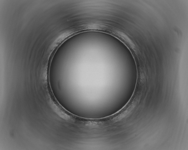 X0000112500938200908171306