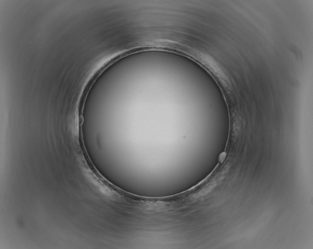 X0000112500940200908171306