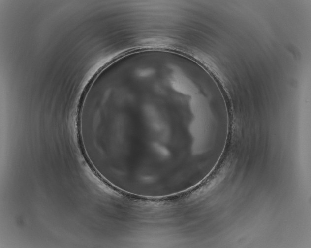 X0000112500941200908171306